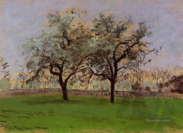  Apple Painting - apples trees at pontoise Camille Pissarro scenery
